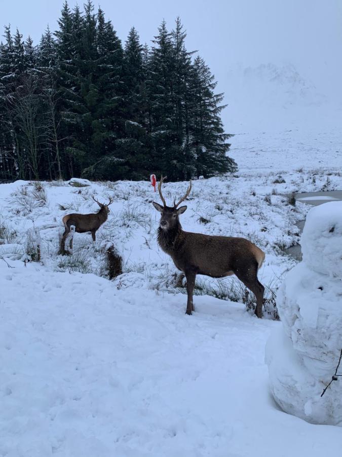 Ormasaig, Self Catering, One Mile To Town & Close To Ben Nevis Villa Форт Уилям Екстериор снимка
